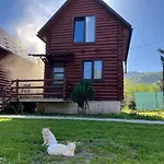 шовкова косиця Rakhiv