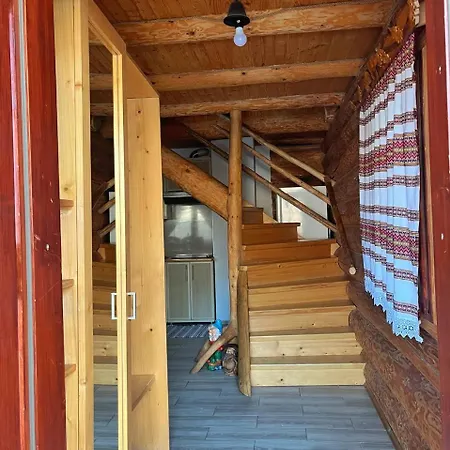 шовкова косиця *