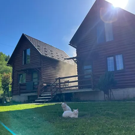 Farm stay шовкова косиця *
